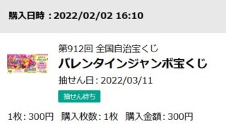 バレンタインジャンボ ネット購入