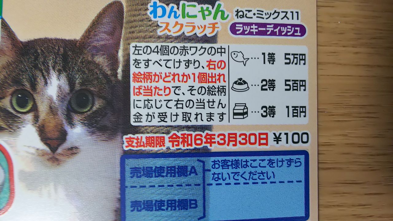 第956回わんにゃんスクラッチ ねこ・ミックス11の当選金